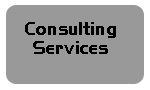 Consulting Services